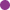 point violette